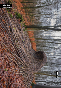 John Rule Autumn 2023 Catalogue Cover